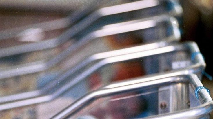 Usa, la setta The Truth costringeva le seguaci a dare i propri figli in adozione. Abusi e violenze