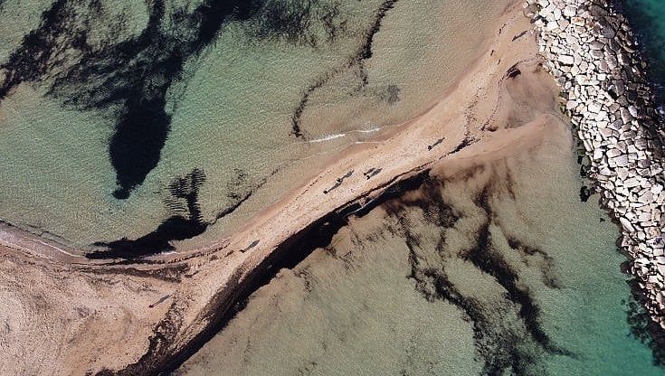 Bari, la lingua di sabbia a Pane e Pomodoro è un campanello d'allarme: "Sul lungomare si rischia l'effetto palude"