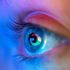 Google cambia Search in Europa per adeguarsi al Digital Markets Act