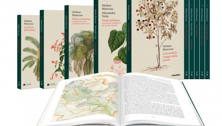 La collana. Impariamo dalle piante