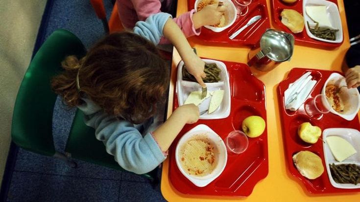 Valtrompia (Brescia), intossicazione da salmonella a scuola: 14 ricoverati, 89 persone infettate