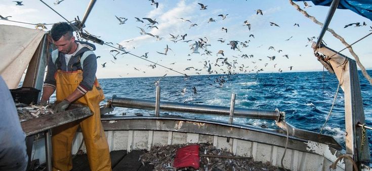 Dalla pesca alle biomasse, la ricetta per far crescere la bioeconomia nella regione Adriatico-Ionica