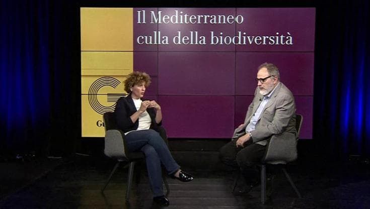 "Siamo tutti mediterranei": l'evento a Pollica in difesa della biodiversità 