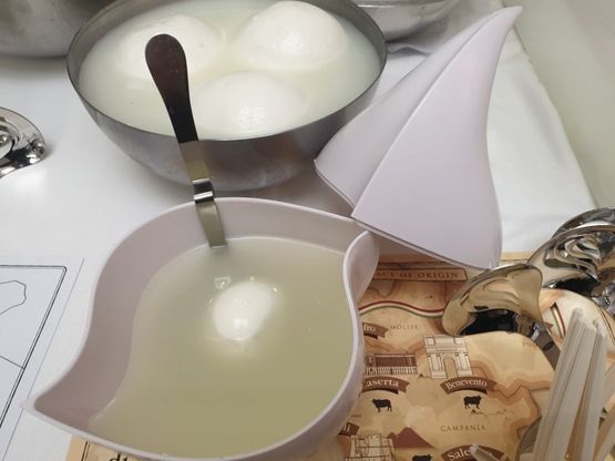 Ecco “Nunziatella”, il primo “portabufala” per mozzarella