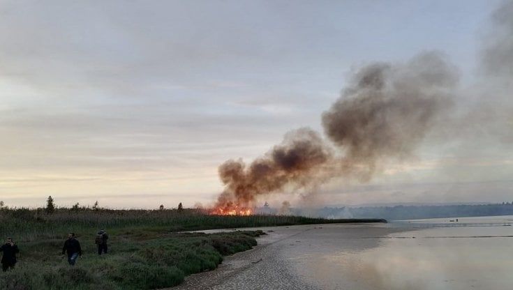 Vendicari, fiamme dolose distruggono parte della riserva