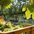 Dai vigneti fino a 10 anni fa abbandonati, ecco i Franciacorta che stupiscono e conquistano