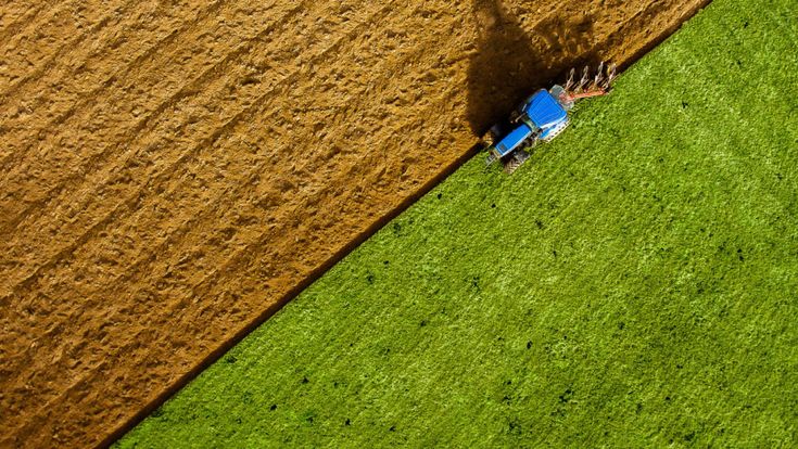 Imprese, la campagna è giovane. E ora tornano anche i cervelli
