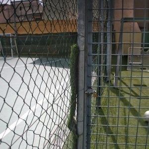 Boccia (Pd): "Un Erasmus è meglio del pallone" 