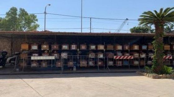 Palermo, feretri in attesa al cimitero: l'arcivescovo scrive al sindaco: "Trovate una soluzione"