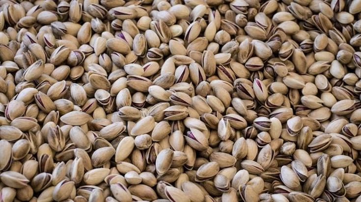 Usa e Iran, non solo petrolio. Le guerra scuote anche il mercato del pistacchio