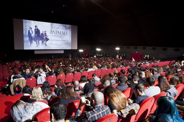 Alla Festa di Roma gli "Animali fantastici": mai più orfani di Harry Potter