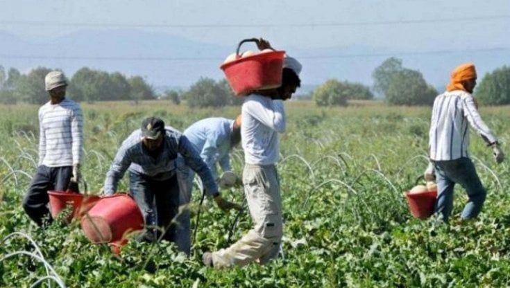 Calabria, maxi operazione di anti caporalato: sei aziende agricole sotto sequestro e 15 arrestati