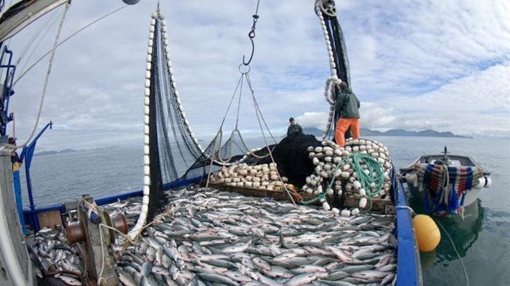 Pesca, i sussidi dannosi: più barche in mare, meno pesci a bordo e tutto dipende dai fondi pubblici