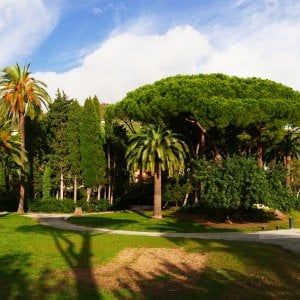 Euroflora, 240 concorsi per le piante e i fiori più belli