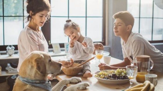 Mangi per vivere o vivi per mangiare? Dialoghi tra l'uomo e il cane