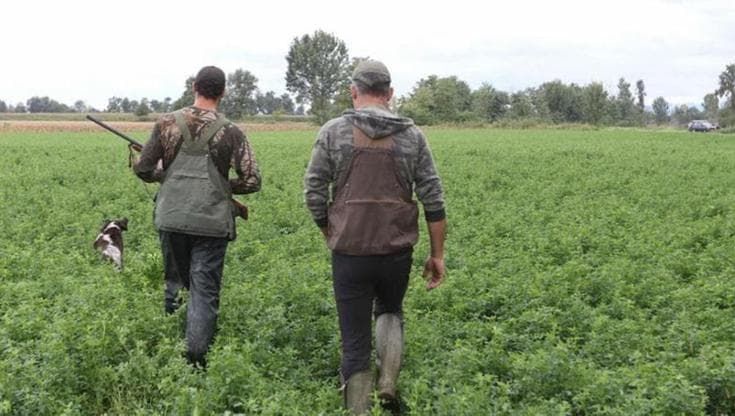 Caccia, allarme in Salento si spara nelle aree protette e nelle campagne: “Agricoltori in pericolo”
