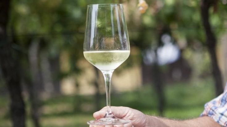 Tutti lo vogliono naturale: è bio il vino del futuro