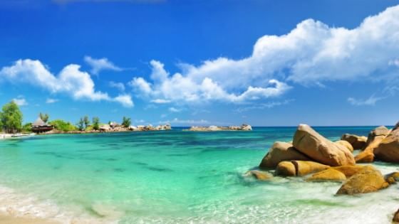 Dove i tropici si incontrano