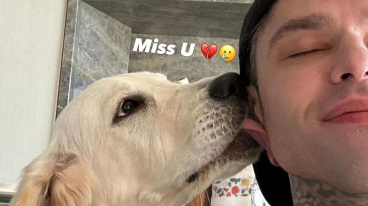 Fedez e la nostalgia della cagnolina Paloma: posta una foto con un “bacio”, Chiara Ferragni risponde con una carezza