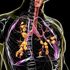 Fibrosi cistica, una “correzione” genetica offre una speranza ai pazienti senza cure