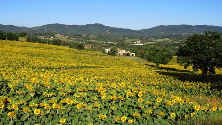 Viaggio nelle location toscane de “Il Ciclone”, film che ha conquistato l’Italia