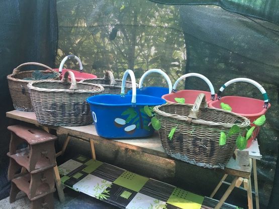 "Cocco bello" sì, ma illegale: sequestrata mezza tonnellata di frutta per i lidi ravennati