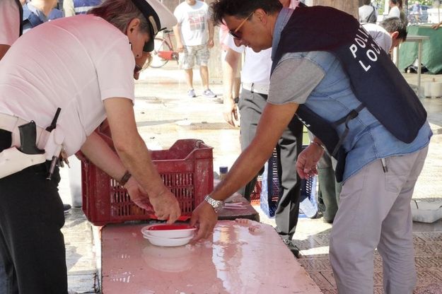 Bari, blitz al mercato del pesce del molo San Nicola: sequestrata tutta la merce 