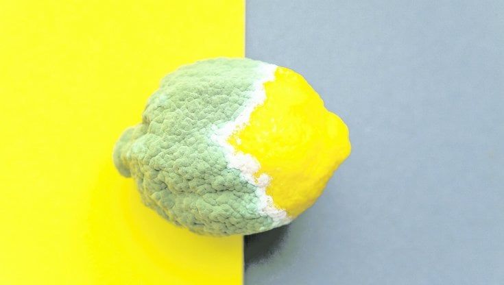 La nostra sfida antispreco dalla spesa ai fornelli