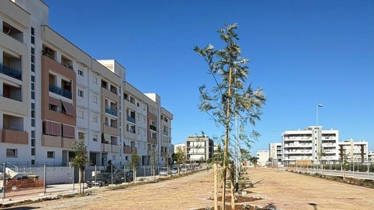 Bari, ecco il nuovo parcheggio green a Sant'Anna: "Ci sono 45 posti auto e tanto verde"