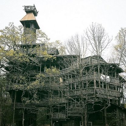 Usa, la casa sull'albero più grande al mondo è una chiesa alta trenta metri