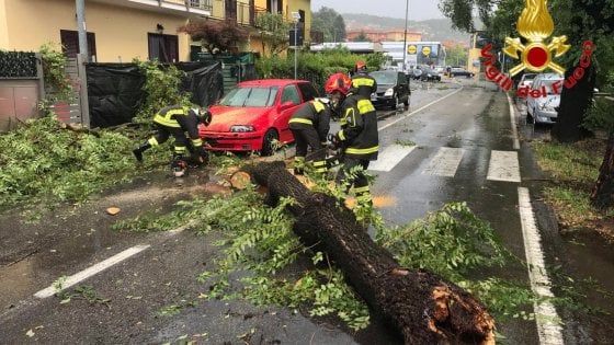 Maltempo in Lombardia, non c'è tregua: danni dal bresciano al pavese con alberi abbattuti e case scoperchiate