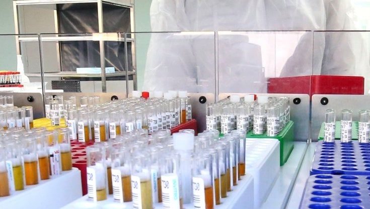 Covid, in Puglia 1.236 casi e 4 morti: positivo l'11,3% dei test