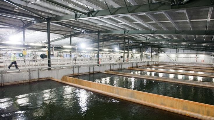 L’opa di Salini sui dissalatori pressing di FI: “Schifani dica sì”