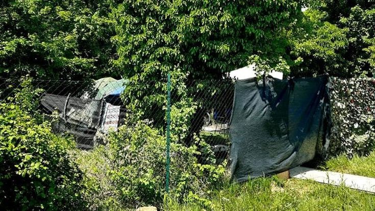Foglie finte e tende, ai confini del Mensola sono tornati gli abusivi