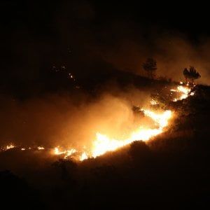Incendio su Monte Grifone, distrutti ettari di vegetazione
