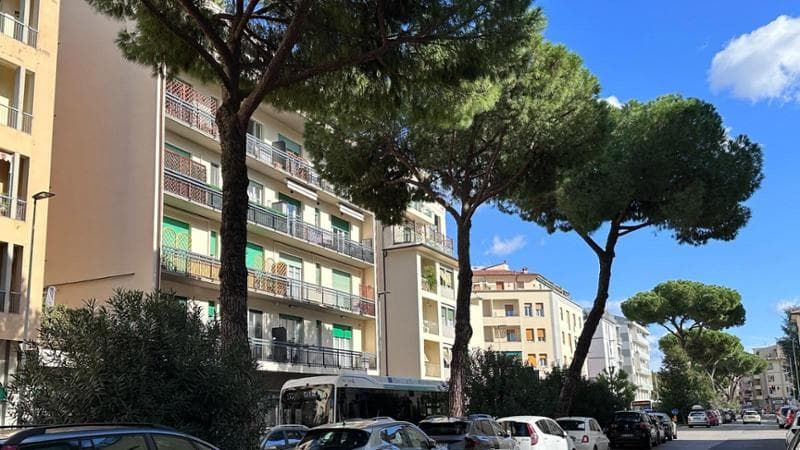 Tramvia Libertà-Rovezzano: dalle Cure a viale Duse, la mappa delle piante da tagliare e sostituire