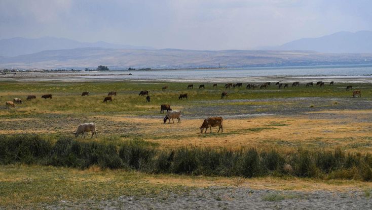 L'agonia del Lago di Van, il più grande della Turchia