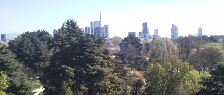 Milano dal tetto della Triennale: effetto Central Park