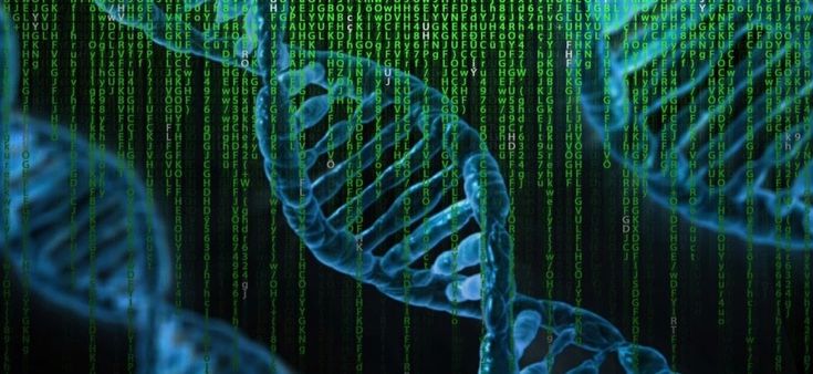 Cancro al seno: chemioterapia sì o no?  