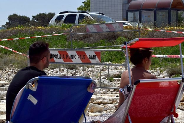 Bari, il fratino depone le uova tra i bagnanti: lungo la costa arrivano le transenne per tutelare la specie