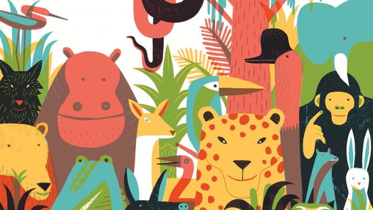 “Animalia”, chi ha più da imparare è proprio l’uomo