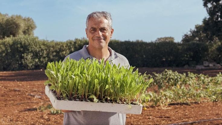 The farming nerd growing 240 varieties of tomato in Puglia — and how they end up as gourmet dishes