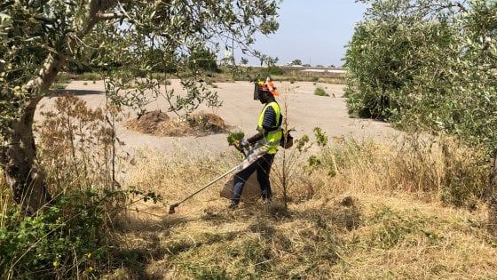 Ragusa, migranti-giardinieri con Legambiente. Zanna: "Salvini stia tranquillo, è solo volontariato"  