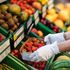 Bio, avocado, plastica: alla prova cinque miti sull’alimentazione sostenibile