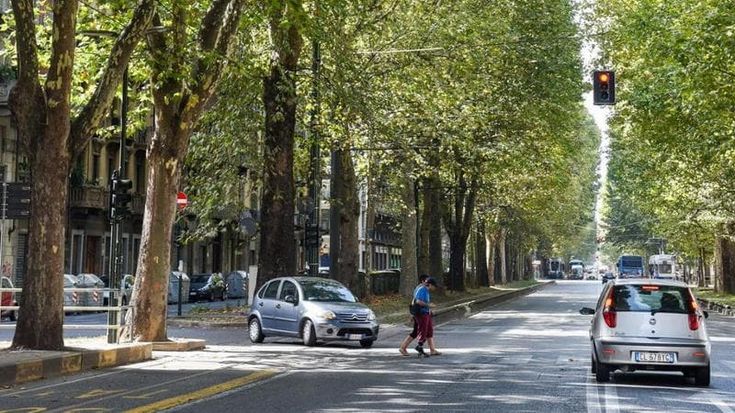 Lo Russo: “Più fondi alla cura della città Ipotesi investitori per trovare risorse”