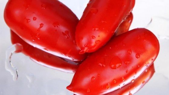 San Marzano Day: una festa per omaggiare e riscattare il pomodoro più falsificato del mondo
