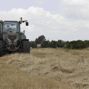 Ragusa, grano kazako bloccato al largo di Pozzallo: l'azienda rinuncia al carico