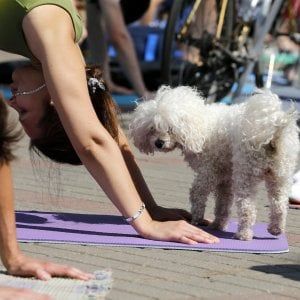 Morale della favola | Ferro e quella musica per vecchi animali