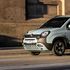 Panda Hybrid,  una storia iniziata 30 anni fa