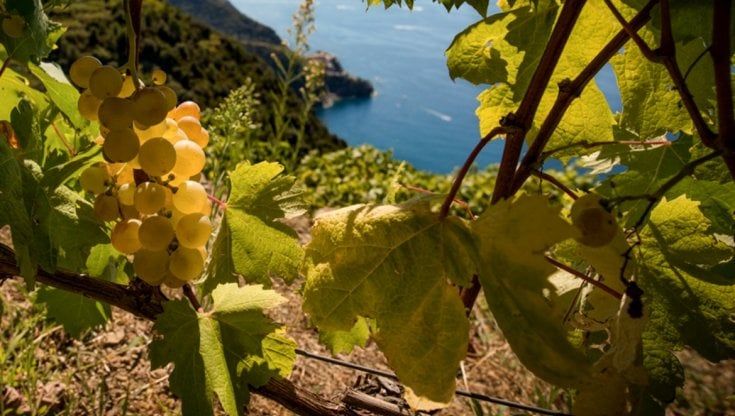 Viaggio alla scoperta dei parchi nazionali più belli d'Europa